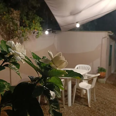 Casa Margherita 아파트 *